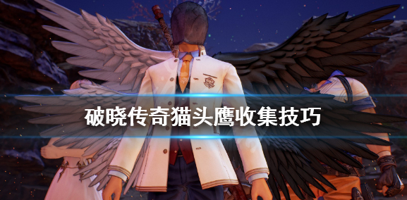 破晓传说猫头鹰之森分布地点及收集攻略汇总