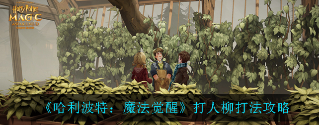 哈利波特魔法觉醒打人柳在哪