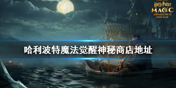 哈利波特魔法觉醒神秘商店入口在哪
