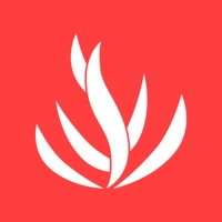 云街种草 ios版