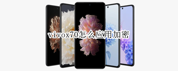 vivox70应用加密功能在哪里