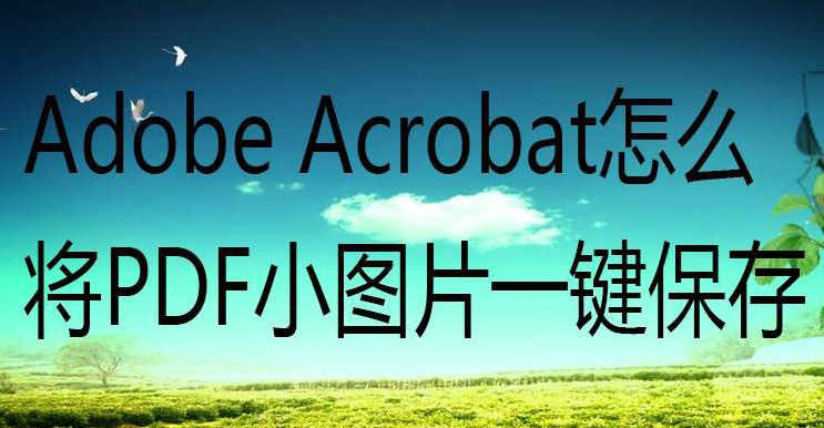 Acrobat图像导出教程分享