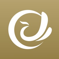 云凤 ios版
