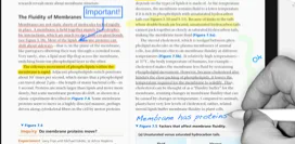 notes writer导入文件教程介绍