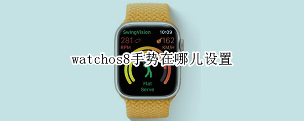 watchos8怎么设置手势功能