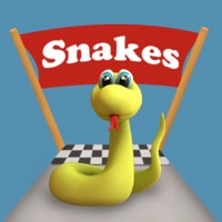 Snake Way 3D: Adventure Run ios版