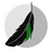 Crow Translate v2.9.1免费版