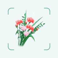 植物识别 ios版