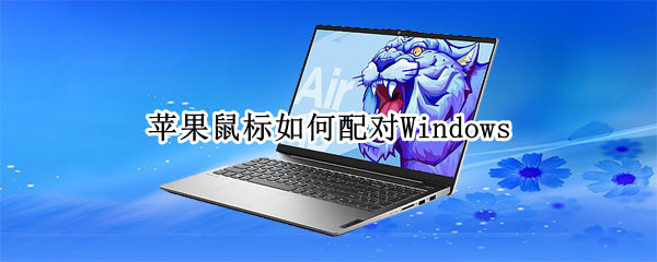 苹果鼠标怎么连接Windows