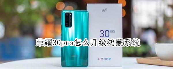 荣耀30pro如何更新鸿蒙系统