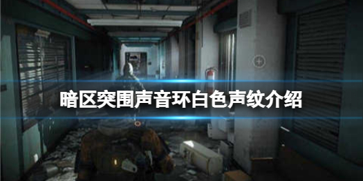 暗区突围白色声纹是什么