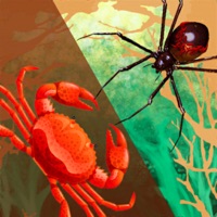 Merge Insects 3D DNA Mutant ios版