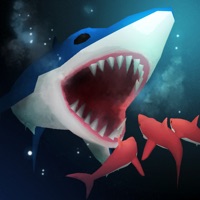 Shark Fest ios版