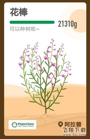 支付宝蚂蚁森林花姑娘是什么_支付宝蚂蚁森林花姑娘种植攻略
