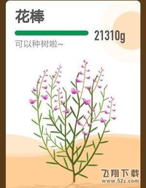 支付宝app蚂蚁森林花棒种植方法教程_52z.com