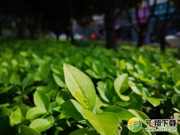 华为P20 Pro和iPhone X对比实用评测_52z.com