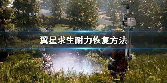 翼星求生耐力有什么用
