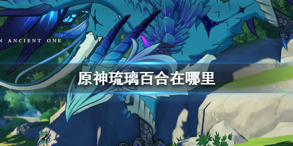 原神琉璃百合在哪