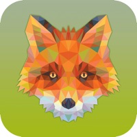 мetaмasк Jungle Vos ios版