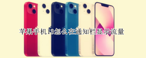 苹果13查询流量使用数据教程介绍