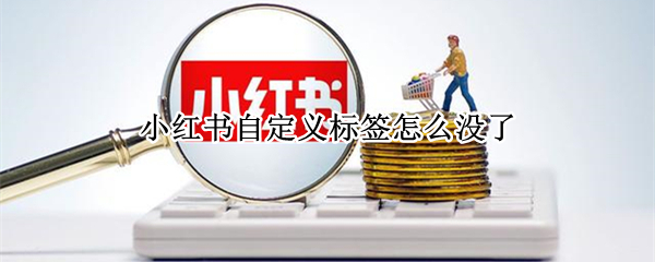 小红书自定义标签没有了怎么办
