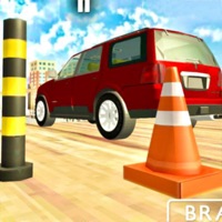 City Car Parking Game 3d Pro ios版