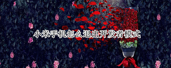 小米手机如何关闭开发者模式