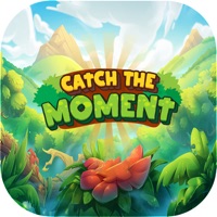 Catch The Moment ios版