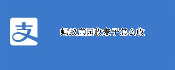 支付宝蚂蚁庄园在哪收麦子