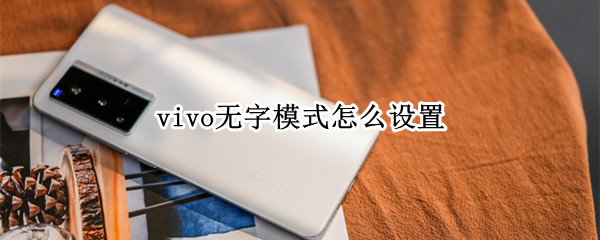 vivo手机怎么设置无字模式