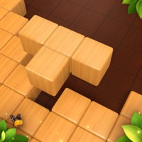Wood Block Puzzle Games:Tetria ios版
