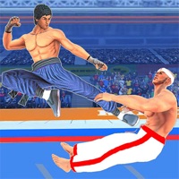 The Karate Kings Fight Game 3D ios版
