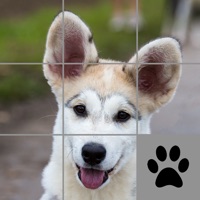 Slider Dog ios版