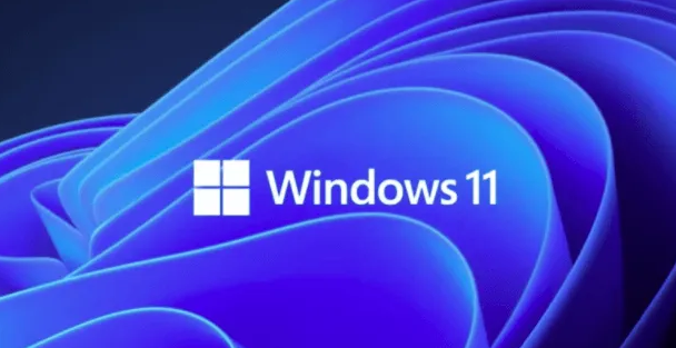 Windows11打开显卡控制面板方法介绍