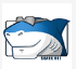STANDARDCodecs v11.8.2免费版