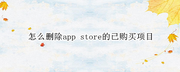 苹果13在哪隐藏appstore已购项目