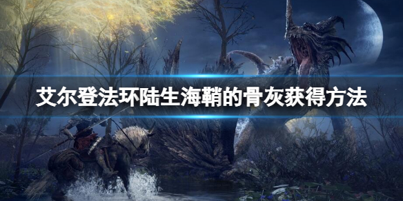 老头环陆生海鞘的骨灰获取方法推荐
