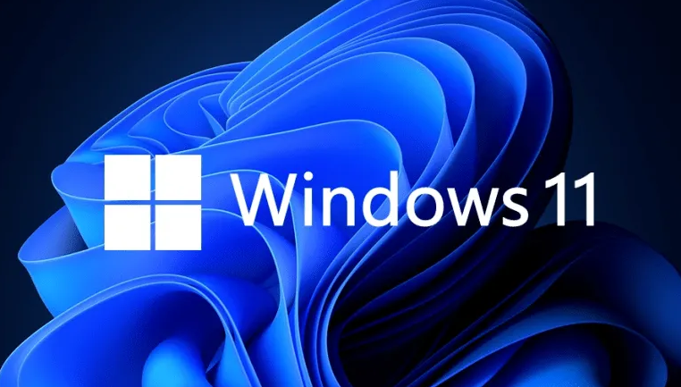 Windows11优化磁盘驱动技巧分享