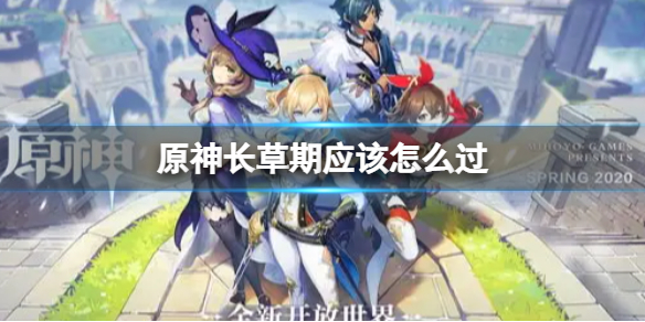 原神长草期如何过