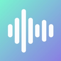 快速噪音检测 ios版