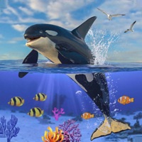 Killer Whale Orca Simulator ios版