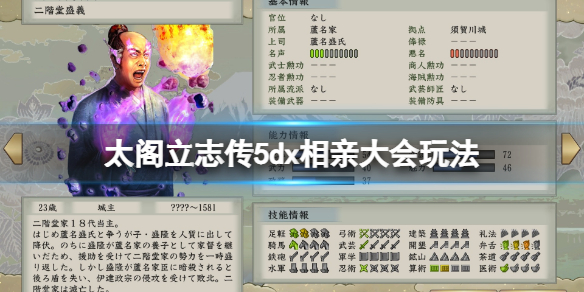 太阁立志传5DX相亲大会怎么玩
