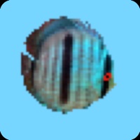 Discus World ios版