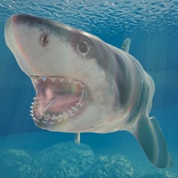 Shark Ocean ios版