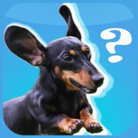 The Lost Dachshund ios版