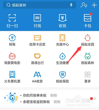 蚂蚁庄园小鸡穿戴好美人鱼套装后能否穿戴其他？