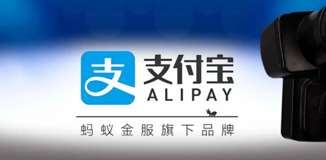 支付宝怎么查询养老金缴费记录