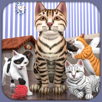 怀孕的小猫 3D sim ios版