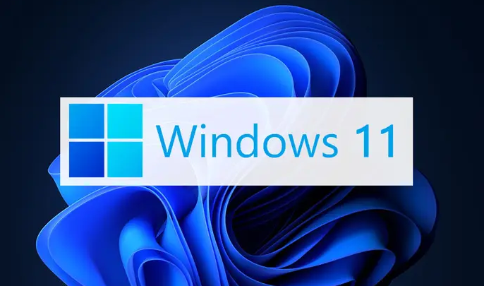 Windows11创建本地连接教程分享