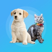 知北翻译器 ios版